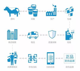 食品安全与网络工程 科技护航健康餐桌